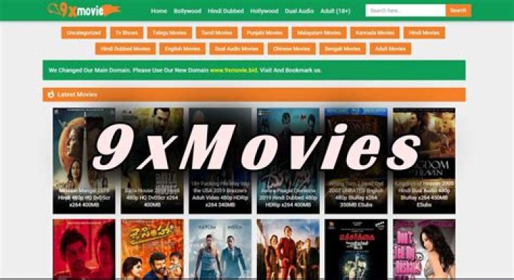 300mb Movies 9x: Your Guide to Smart Entertainment Choices in 2024
