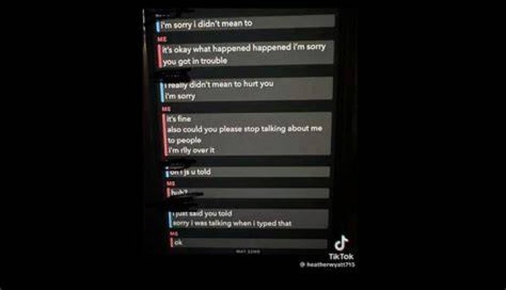 A Comprehensive Look into Aubreigh Wyatt's Text Messages: Unraveling the Mystery