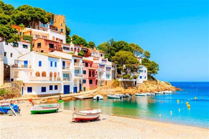 A Zamora Teacher's Guide to Spain's Hidden Gem