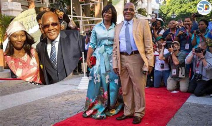 Aaron Motsoaledi Wife