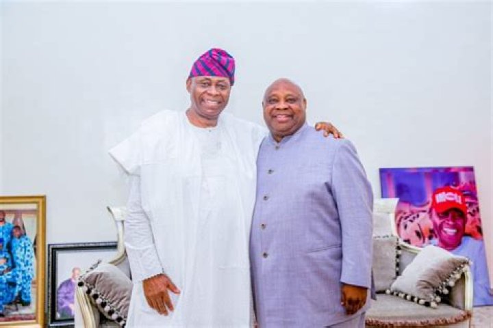 Adedeji Adeleke Net Worth: Unpacking the Financial Success of a Nigerian Titan