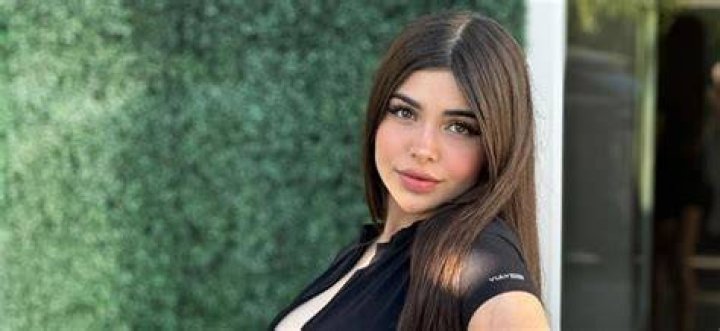 Alina Rose Nude: What Drives Online Searches for Public Figures?