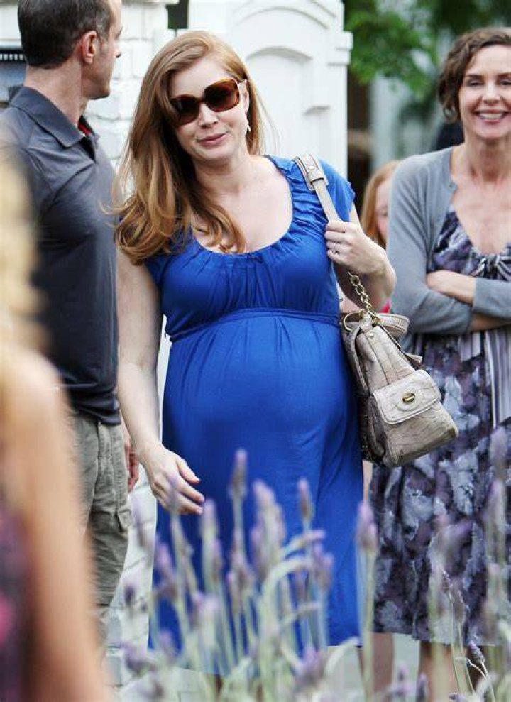 Amy Adams Pregnant: A Comprehensive Look at Her Journey