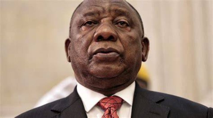 Andile Ramaphosa Biography: A Closer Look at a Public Figure