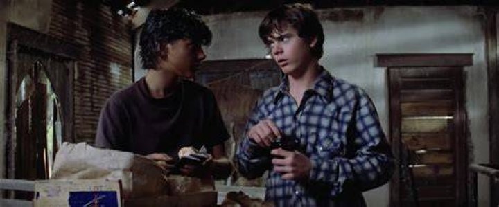 Beyond the Peroxide: Unpacking Johnny's Decision Not to Bleach His Hair in The Outsiders