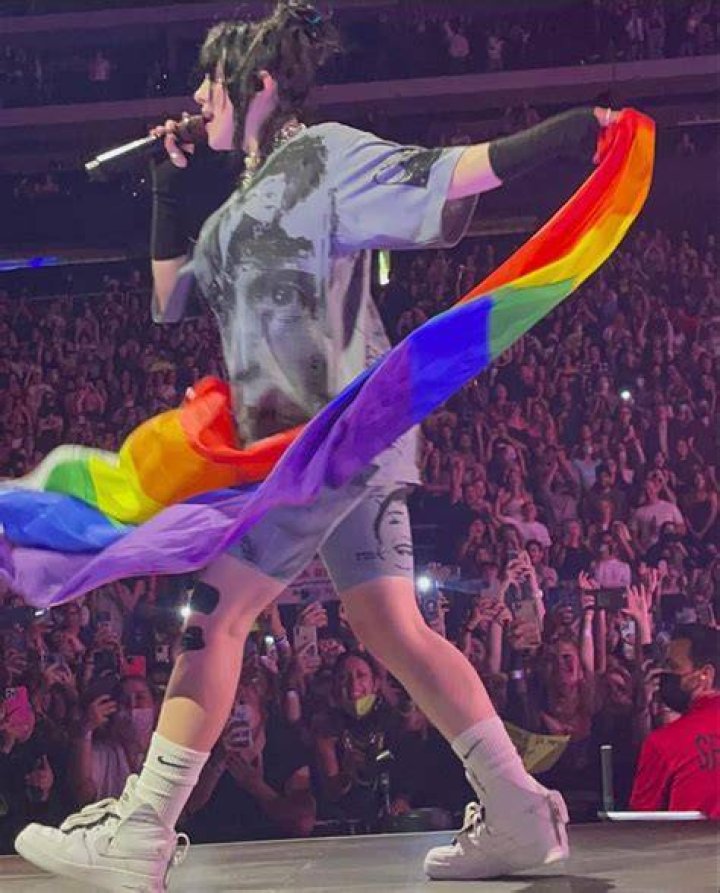 Billie Eilish and the LGBTQ+ Question: What Her Career and Public Persona Reveal