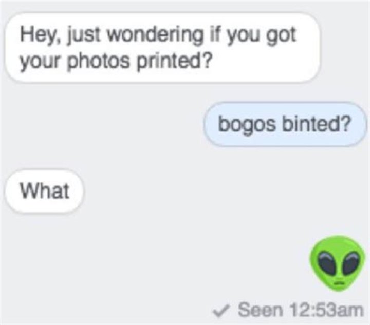Bogos Binted: What This Odd Phrase Really Means