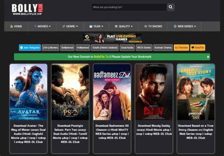 Bollyflix.diy: Your Ultimate Guide to Streaming Bollywood Movies
