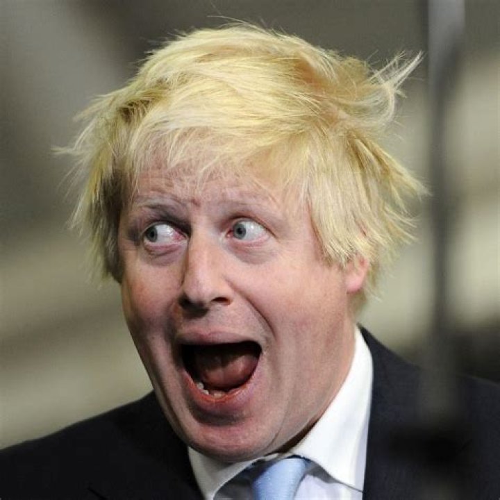 Boris Sanchez Married? Exploring the Family Life of a Prominent Figure, Boris Johnson