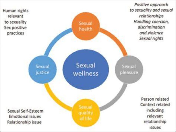 Camilla Araujo and Sexual Well-being: A Look at Responsible Information and Safe Practices in 2024