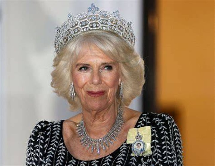 Camilla in 2025: Beyond the Search Query to the World of Luxury Fashion