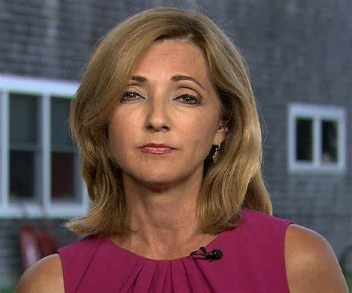 Chris Jansing Child: What We Know About Her Family Life