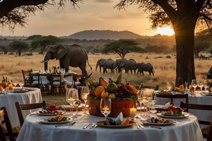 Cooking with Safari: A Unique Culinary Adventure in the Wild