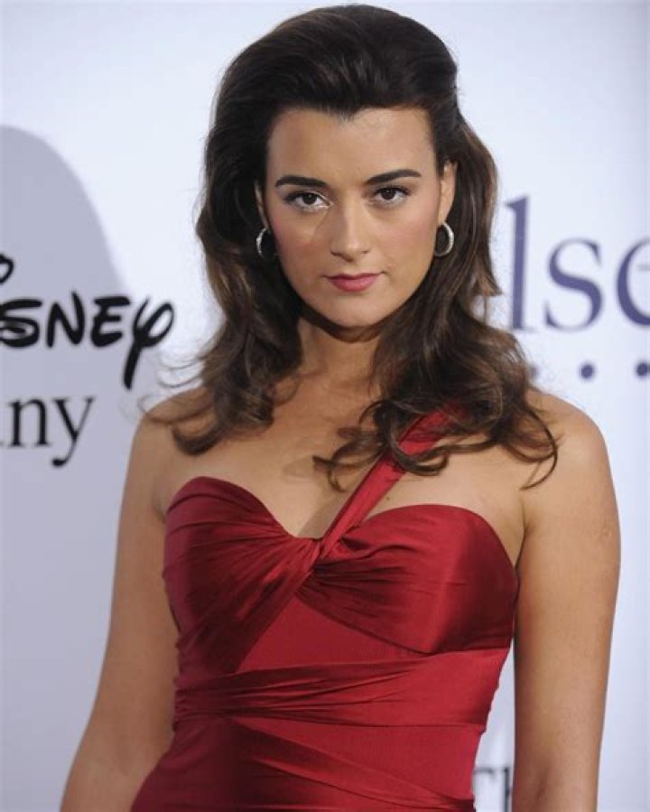 Cote de Pablo's Personal Life: Unveiling the Story Beyond the Screen