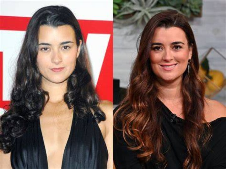 Cote de Pablo's Relationship Status: What We Know Right Now