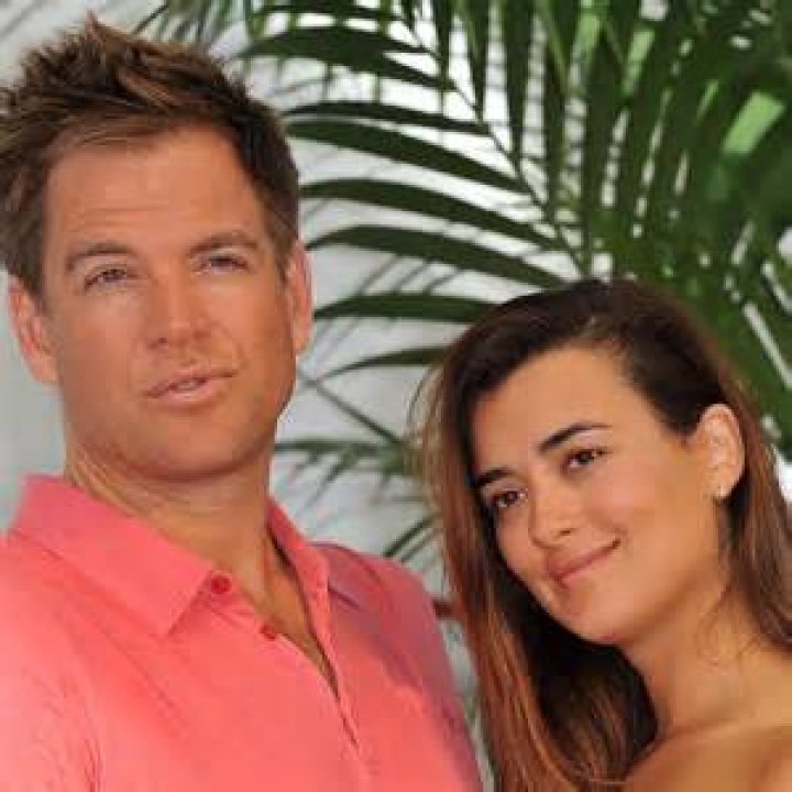 Cote de Pablo Married: Exploring the Name's Many Facets
