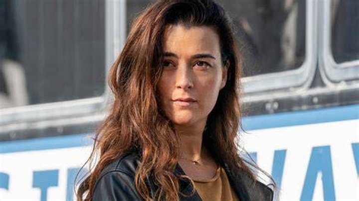 Cote de Pablo: Unpacking the Life of the Beloved Ziva David Star