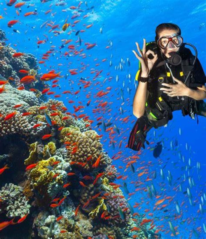 Dan Fernandez: Your Essential Partner for Safer Diving Adventures