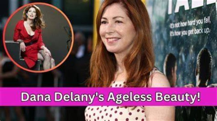 Dana Delany Dating History: Unraveling the Public's Curiosity