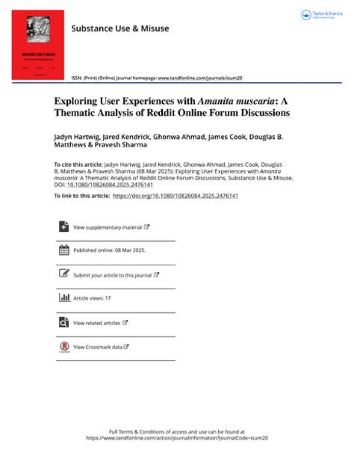 Diana Konfederat Reddit: Exploring Online Discussions About a Fascinating Figure