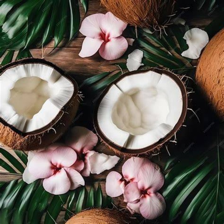 Discover the Delight of Coconut Kitty: Your Guide to Tropical Goodness