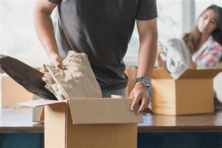 Discovering 'Dolly Dyson': Unpacking the Effortless Moving and Delivery Service You Need