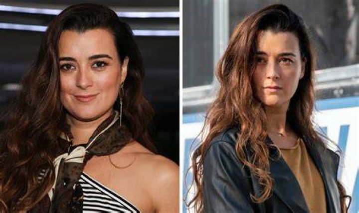 Discovering Cote de Pablo: A Look at the Beloved Actress