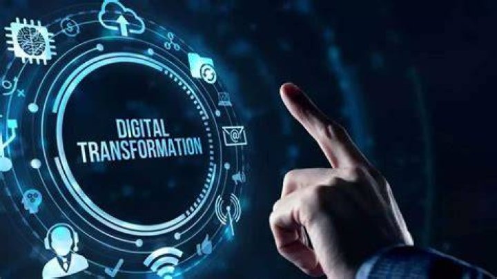 Discovering Dogx: A New Way to See Your Digital World