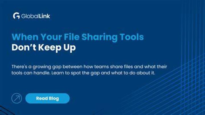 Discovering flimyzilla.com: Your Next Spot for Sharing and Connection