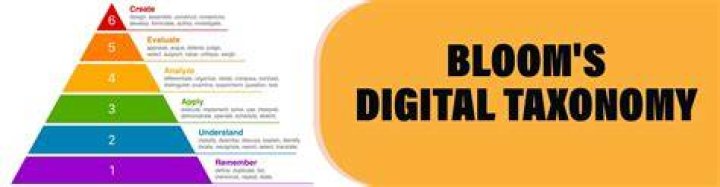 Discovering Judy Blooms: A Digital Personality Full of Light