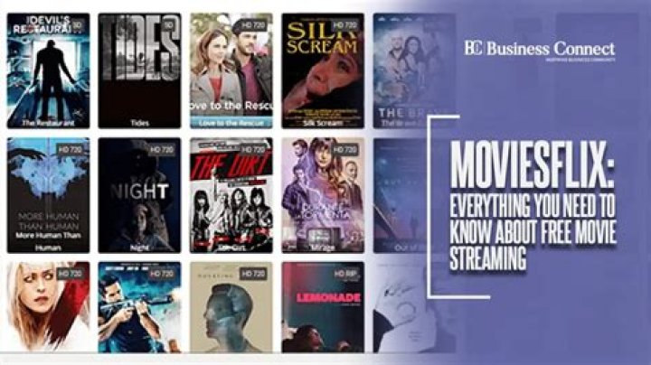Discovering Movies Online: What to Know About moviesflix.in