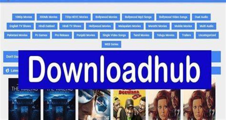 Discovering Movies: The Appeal of Downloadhub 300MB and What It Means for You