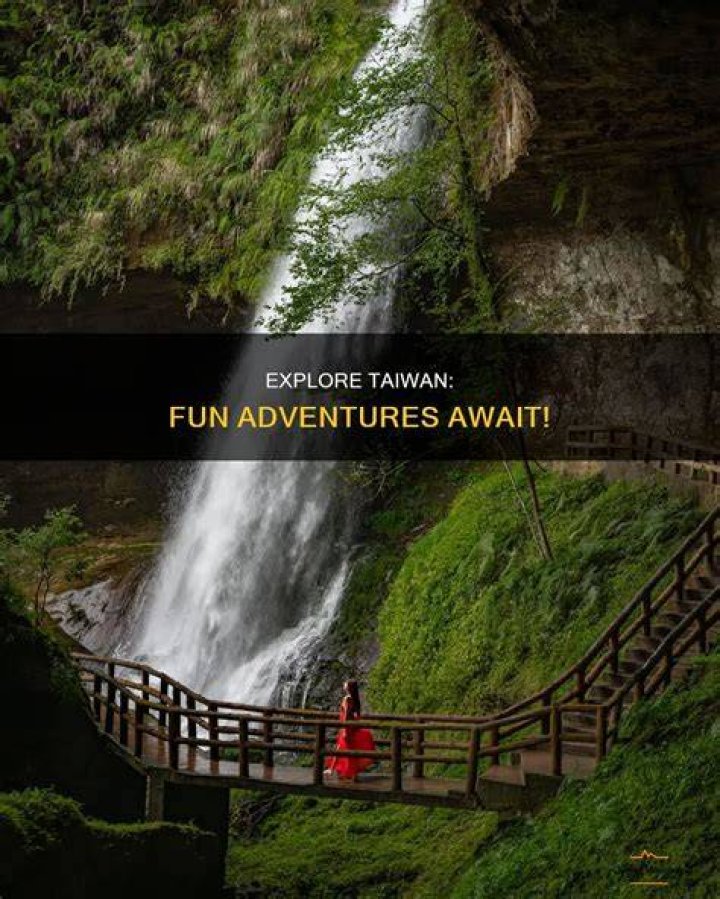 Discovering Roman Sharon: Your Guide to Fun, Travel, and Taiwan Adventures