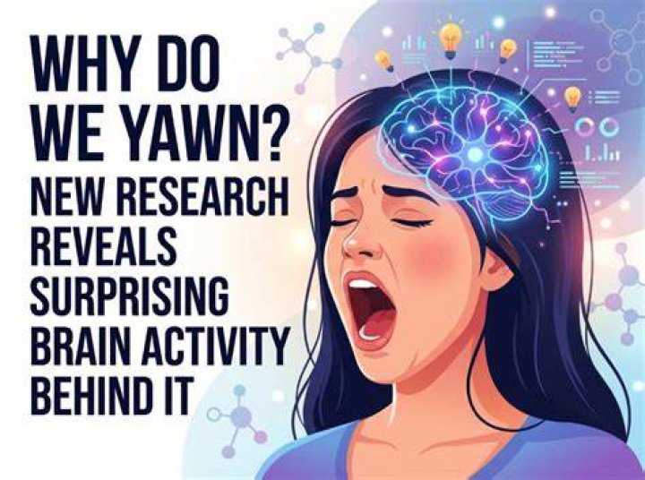 Discovering Softwe: The Digital Brain Behind Everything We Do