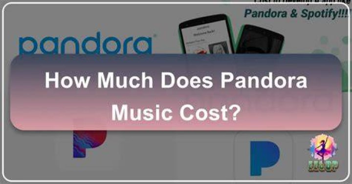 Discovering the Beat: Understanding Pandora Commercial Music