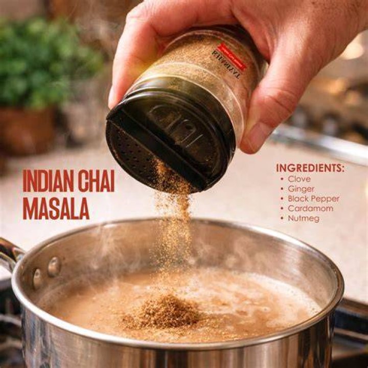 Discovering the Flavorful World of Masala with masala fun.com