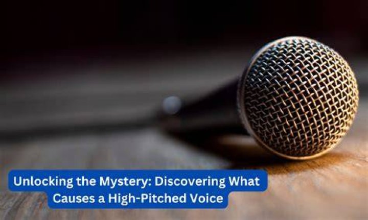 Discovering the Mystery of ippa010054: A Look into Online Content Identification