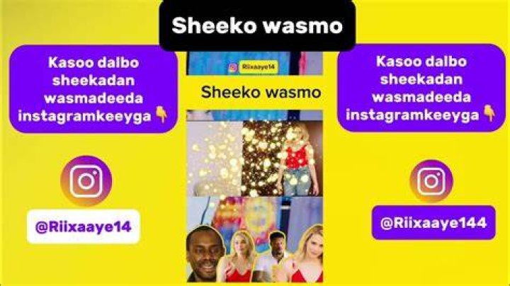 Discovering the Sheeko Wasmo Family: Cultural Icons of Somalia