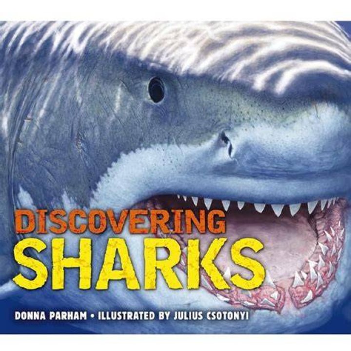 Discovering the World of Donna: What You Need to Know About Donna Brigs and Beyond