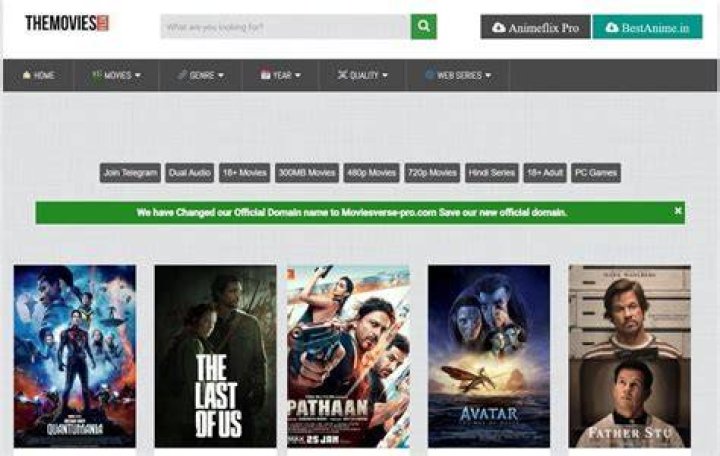 Discovering Your Next Favorite Film with moviesflix.org