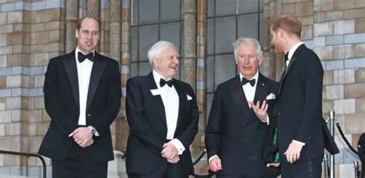 Does Harry Have to Bow to William? Unpacking Royal Protocol and Family Dynamics