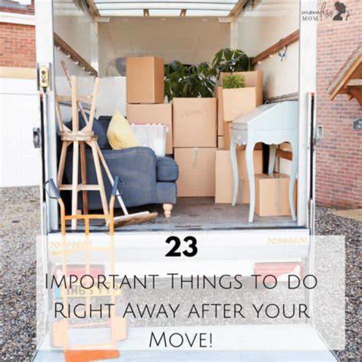 Dolly Politan: Your Way to Move and Get Things Delivered