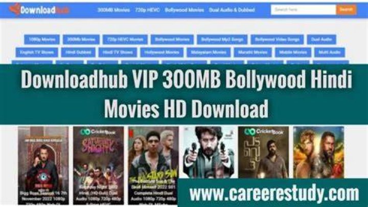 DownloadHub 300MB: Your Go-To for Efficient Video Downloads and More