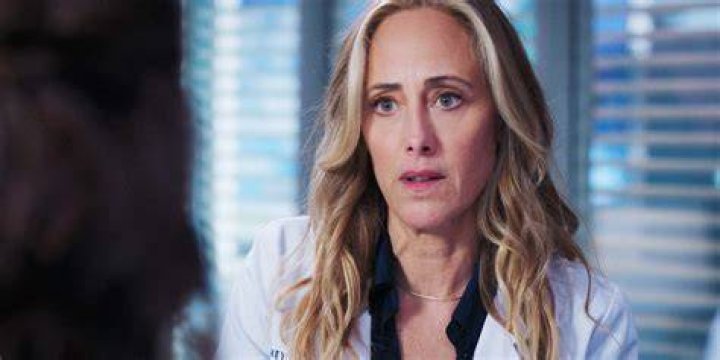 Dr. Teddy Altman Grey's Anatomy: Her Story, From Chief to Cliffhanger