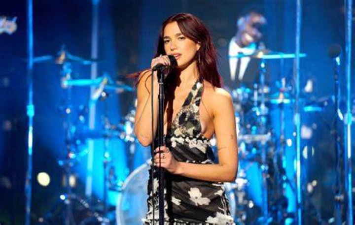 Dua Lipa Children: Unpacking the Buzz Around Her Family Plans