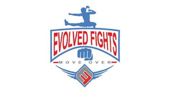 Evolved Fights: Exploring the World of Competitive Mixed Wrestling