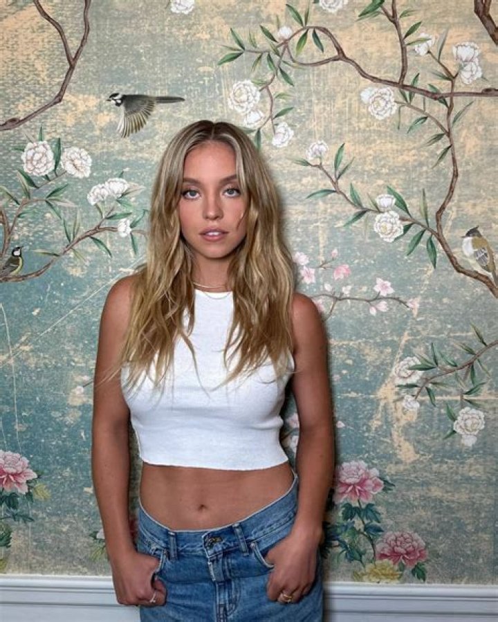 Exploring "Erome Sydney Sweeney": A Look at Celebrity Presence and Online Content Platforms