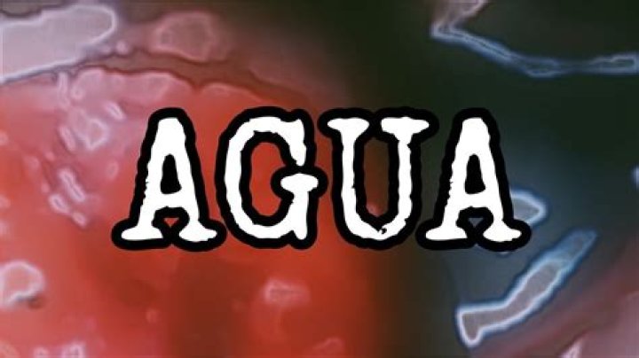 Exploring "Quiero Agua原版": What's the Story Behind This Intriguing Phrase?
