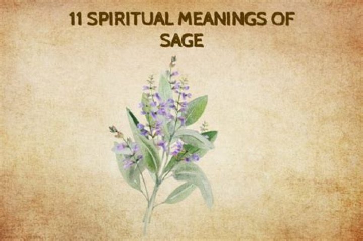 Exploring "Sage Ayla Gupta": Unpacking the Many Meanings of Sage