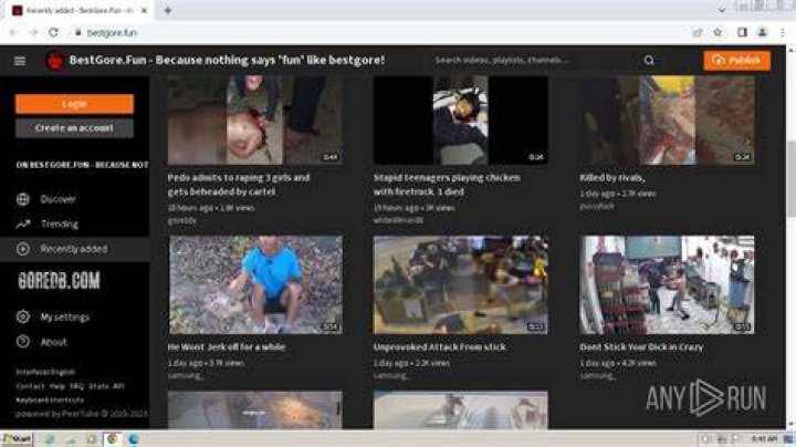 Exploring bestgore.fun: What People Are Really Asking